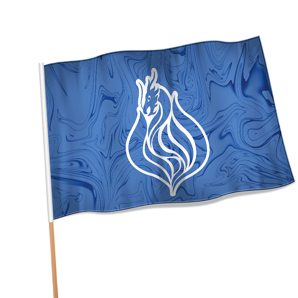 Bandeiras Oxford Costura Linha Branca Overlock Com Bastão (700x450mm)