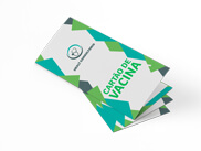Cartão De Vacina Apergaminhado 240g (210x300mm)