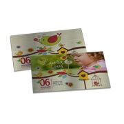 Convites Básico Silver Lux 300g Sem Laminação E Sem Verniz Uv (153x91mm)