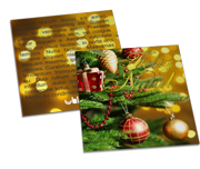 Cartões Duplo Couchê 250g Verniz Uv Total Frente