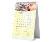 Calendário De Mesa Wire O Vertical Com 24 Páginas Sem Verniz Base Papel Paraná 2mm E Páginas Couchê 150g