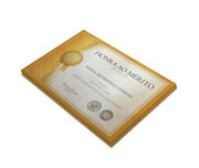 Certificados (300x210mm) Pero Plus 300g Sem Verniz