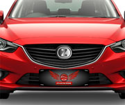 Cobre Placa Para Carros Couchê 250g Sem Verniz