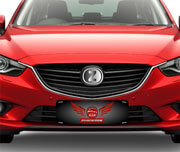 Cobre Placa Para Carros Pvc 0,50mm Premium Branco