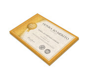 Certificados (300x210mm) Reciclato 240g Sem Verniz