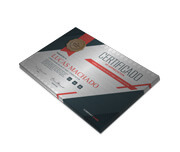 Certificados (300x210mm) Silver Lux 300g Sem Verniz