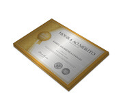 Certificados (300x210mm) Silver Lux 300g Sem Verniz