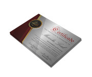 Certificados (300x210mm) Silver Lux 300g Sem Verniz