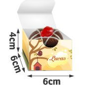 Produtos para Festa: Caixa Surpresinha Couchê 250g