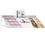 Calendário De Mesa Porta Cartões Simples Couchê 250g Verniz UV Total Frente