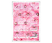 Adesivos Folha 330x480mm Vinil Branco Laminação Holografica