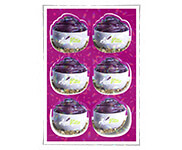 Adesivos Folha 330x480mm Vinil Branco Laminação Holografica