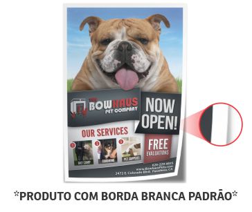 Folhas Avulsas Couchê Brilho 250g