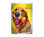 Folhas Avulsas Papéis Especiais Metalizado Frente 250g