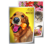 Folhas Avulsas Papéis Especiais Metalizado Frente 250g