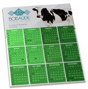 Folhinha De Parede Supremo 255g Verniz Total Frente (270x343mm)