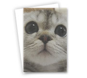 Folhas Avulsas Pvc 0,30mm Transparente