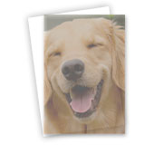 Folhas Avulsas Pvc 0,30mm Transparente