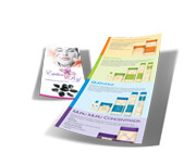 Panfletos, Flyers E Folhetos Couchê 115g (100x200mm)