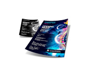 Panfletos, Flyers E Folhetos Couchê 150g Sem Verniz (100x200mm)