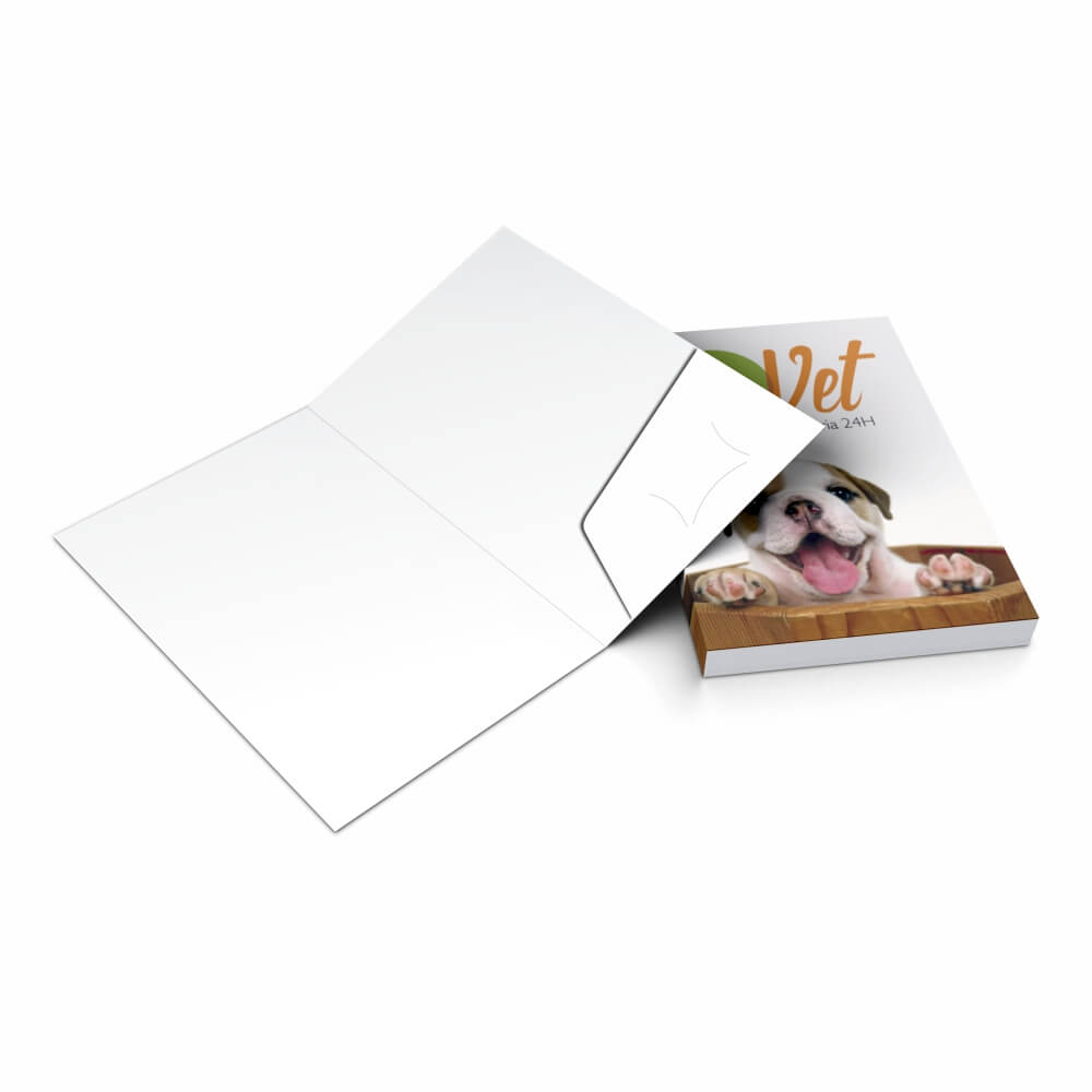 Pastas Couchê 300g Bolsa Colada Sem Impressão Sem Verniz