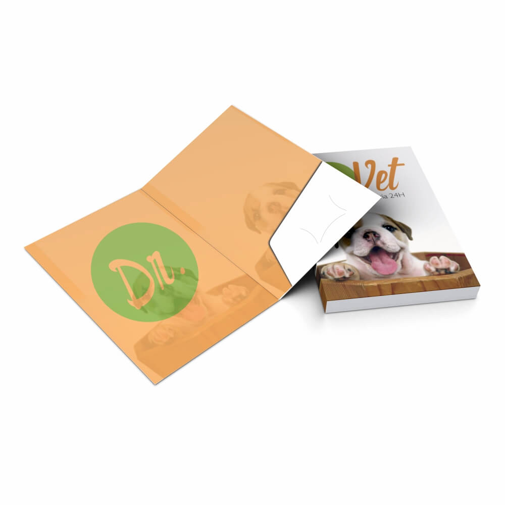 Pastas Couchê 250g Bolsa Colada Sem Impressão Laminação Holográfica Frente