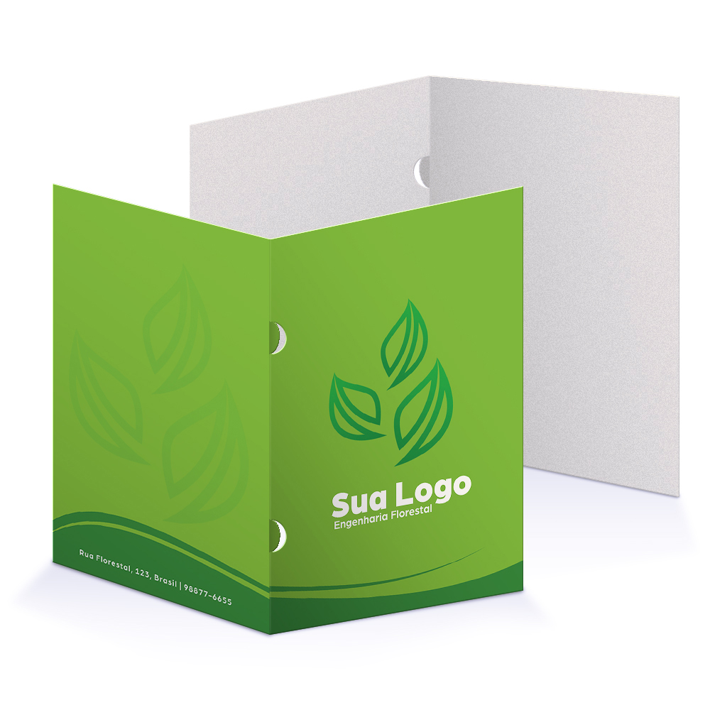 Pastas Supremo 255g Orelha Sem Verniz