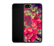 Capa para Celular Silicone Transparente Modelo Iphone 7