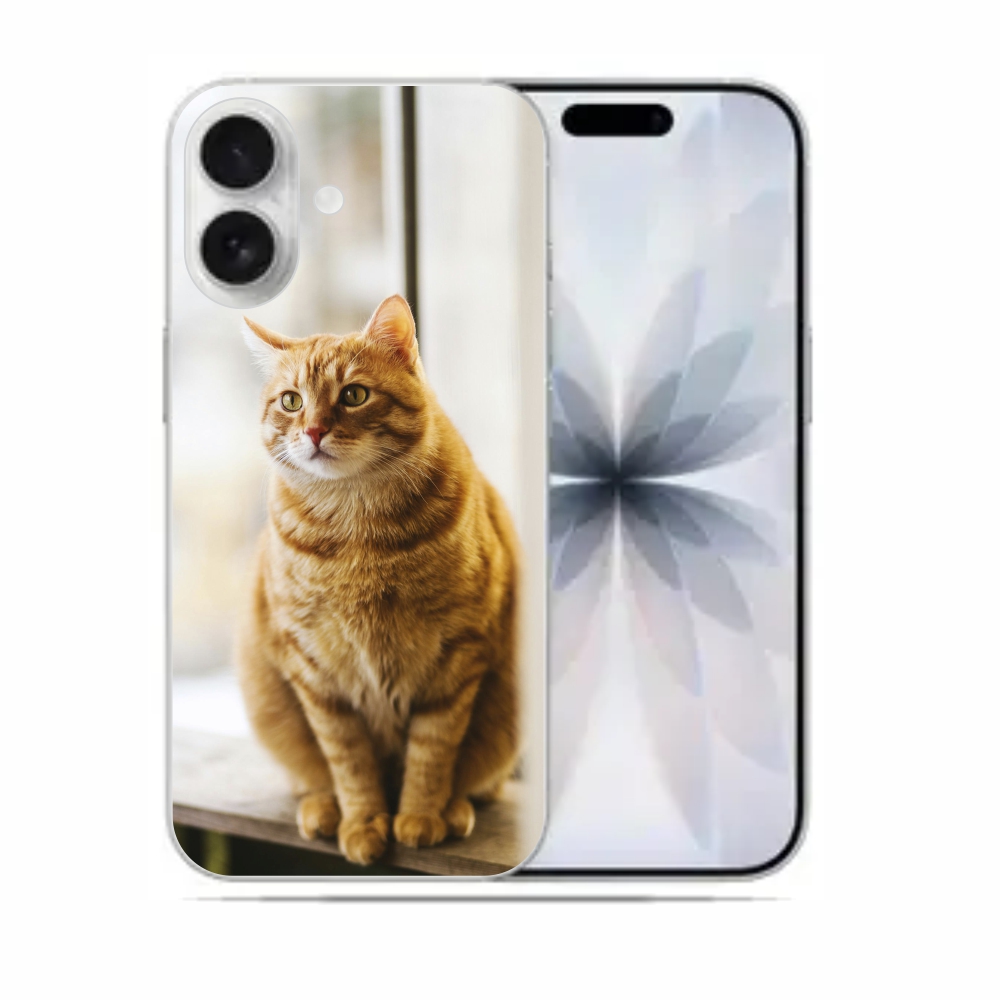 Capas Para Celular Apple Iphone 17