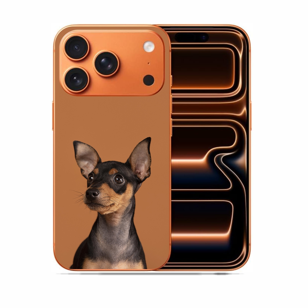Capas Para Celular Apple Iphone 17 Pro