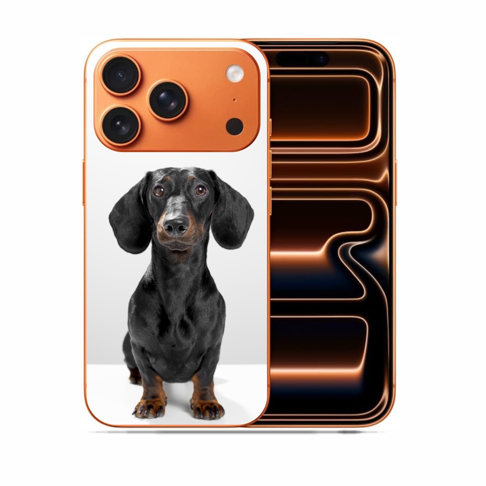 Capas Para Celular Apple Iphone 17 Pro