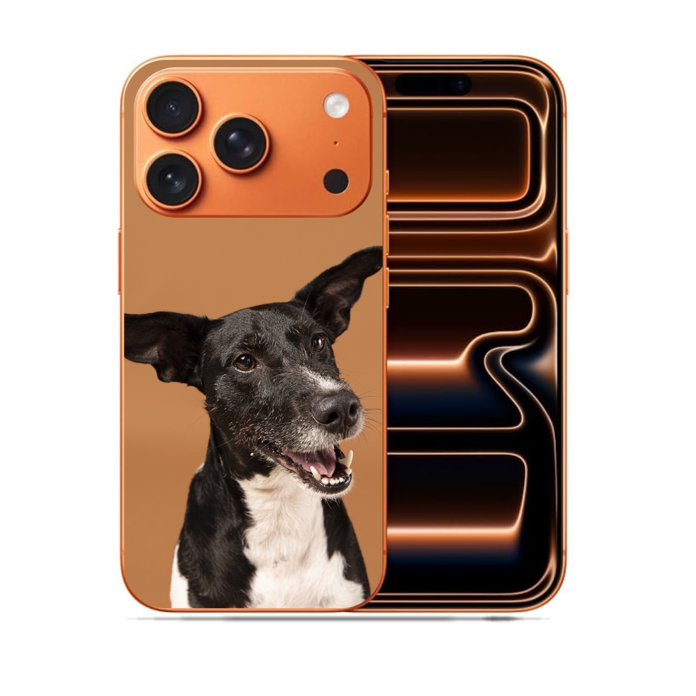 Capas Para Celular Apple Iphone 17 Pro