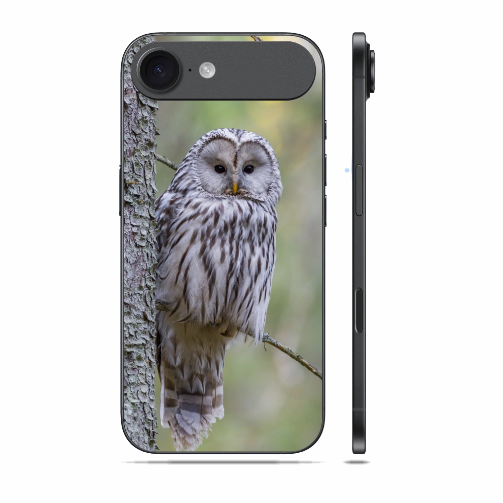 Capas Para Celular Apple Linha Air Iphone 17 Air