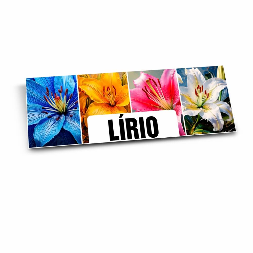 Placas Placa Imobiliária Psai 1mm (300x120mm)