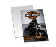 Postais Papéis Especiais Metalizado Frente 250g (91x153mm)