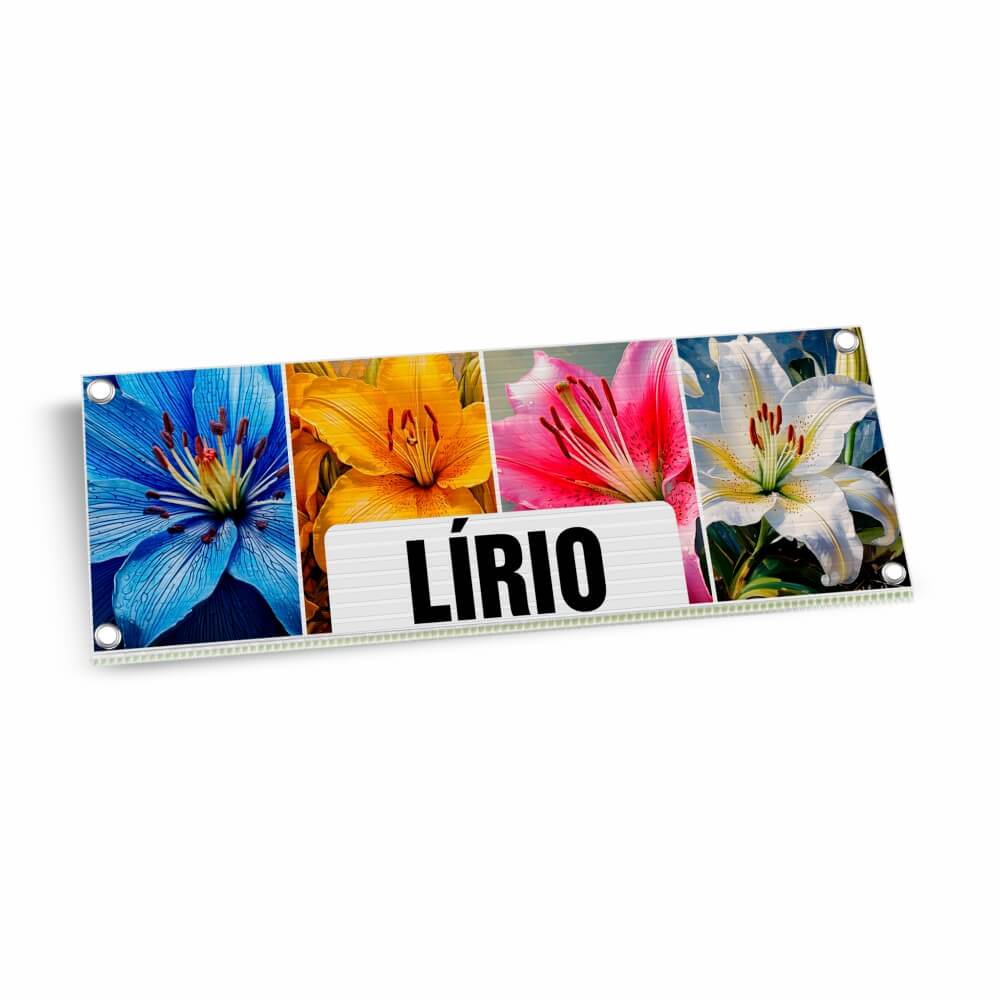 Placas De Polionda 2mm (300x120mm)