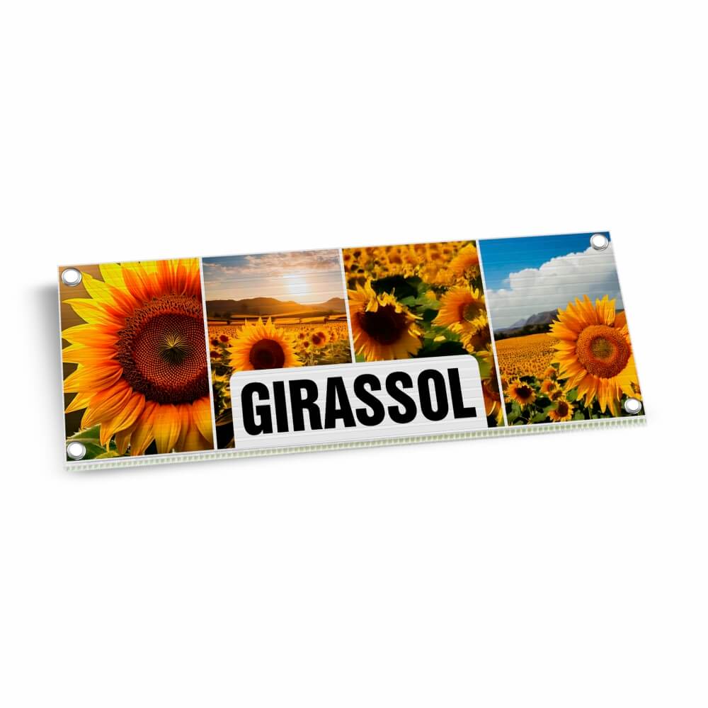 Placas De Polionda 2mm (300x120mm)