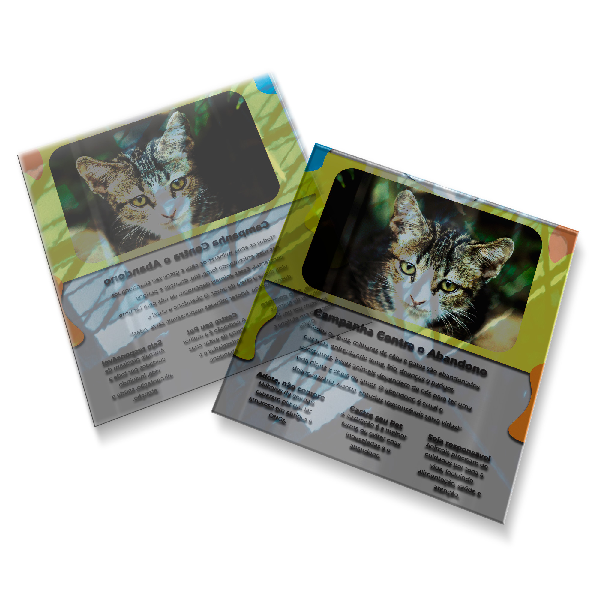 Postais Pvc 0,30mm Transparente Sem Tinta Branca (91x102mm)